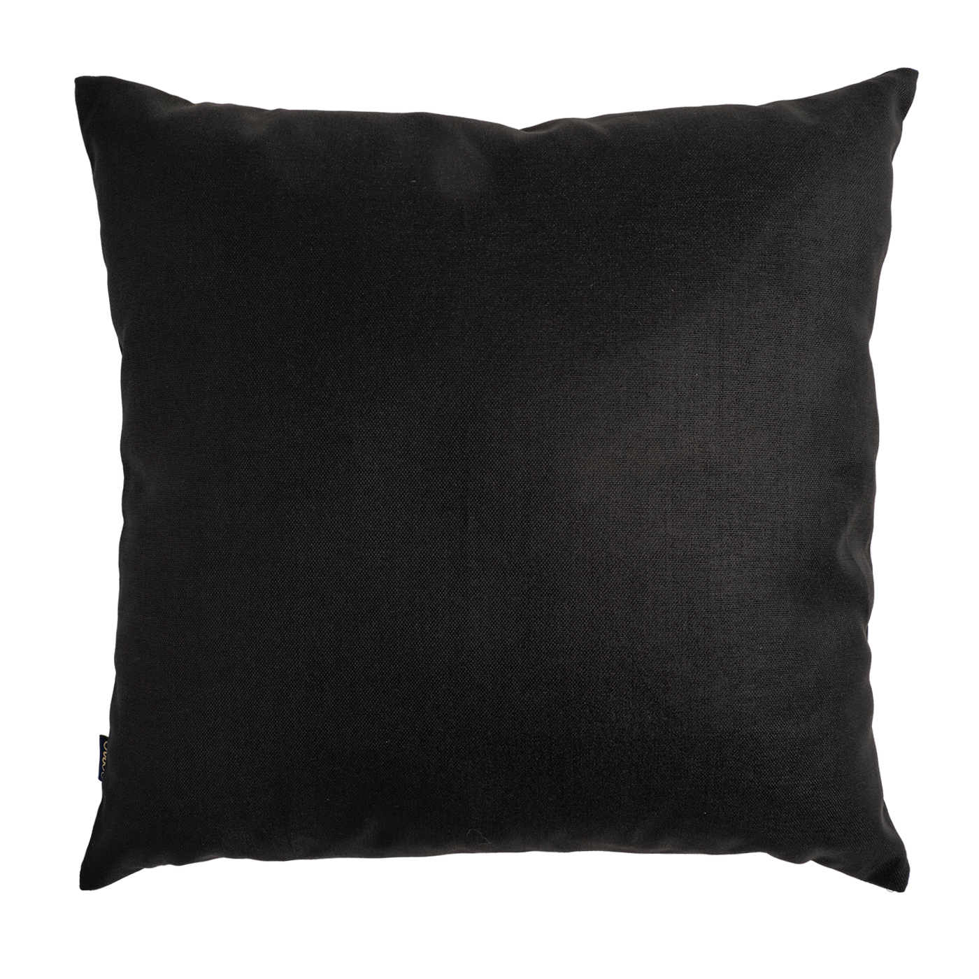 Cojin Aqua Butterfly