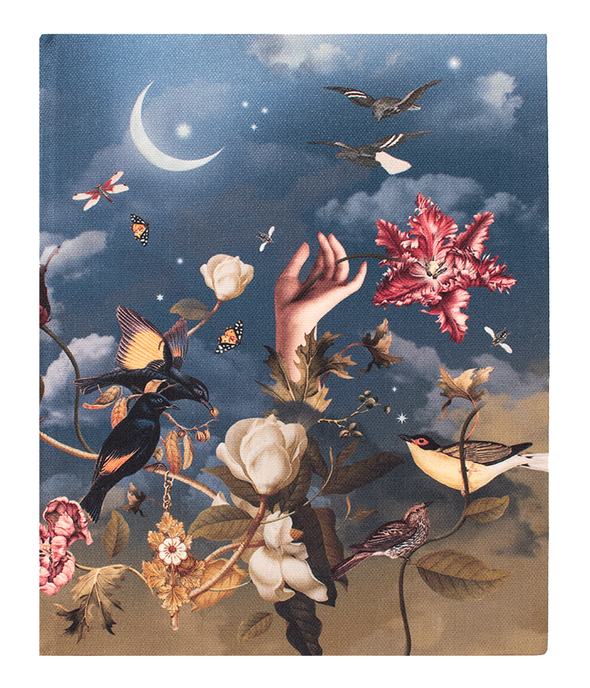 Libreta Eden
