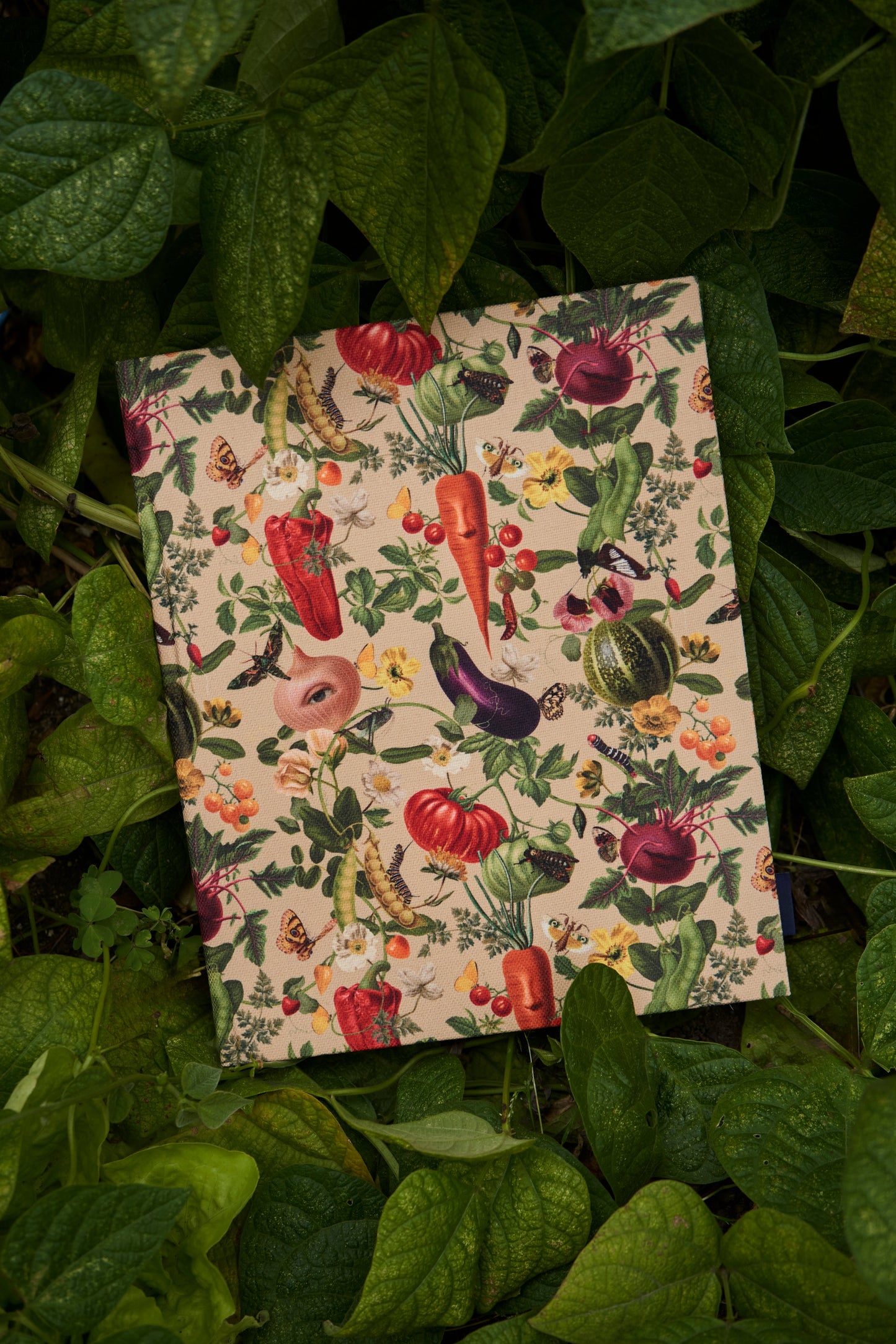 Libreta Hortalizas