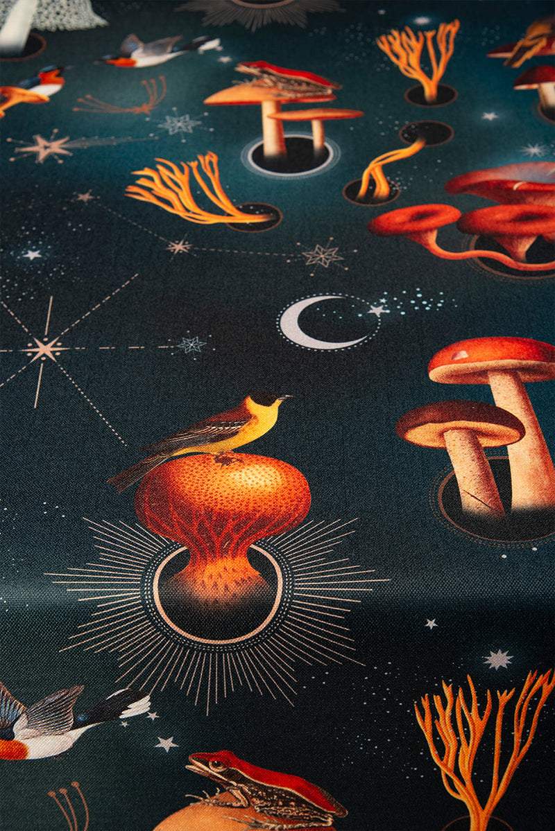 Mantel Fungi