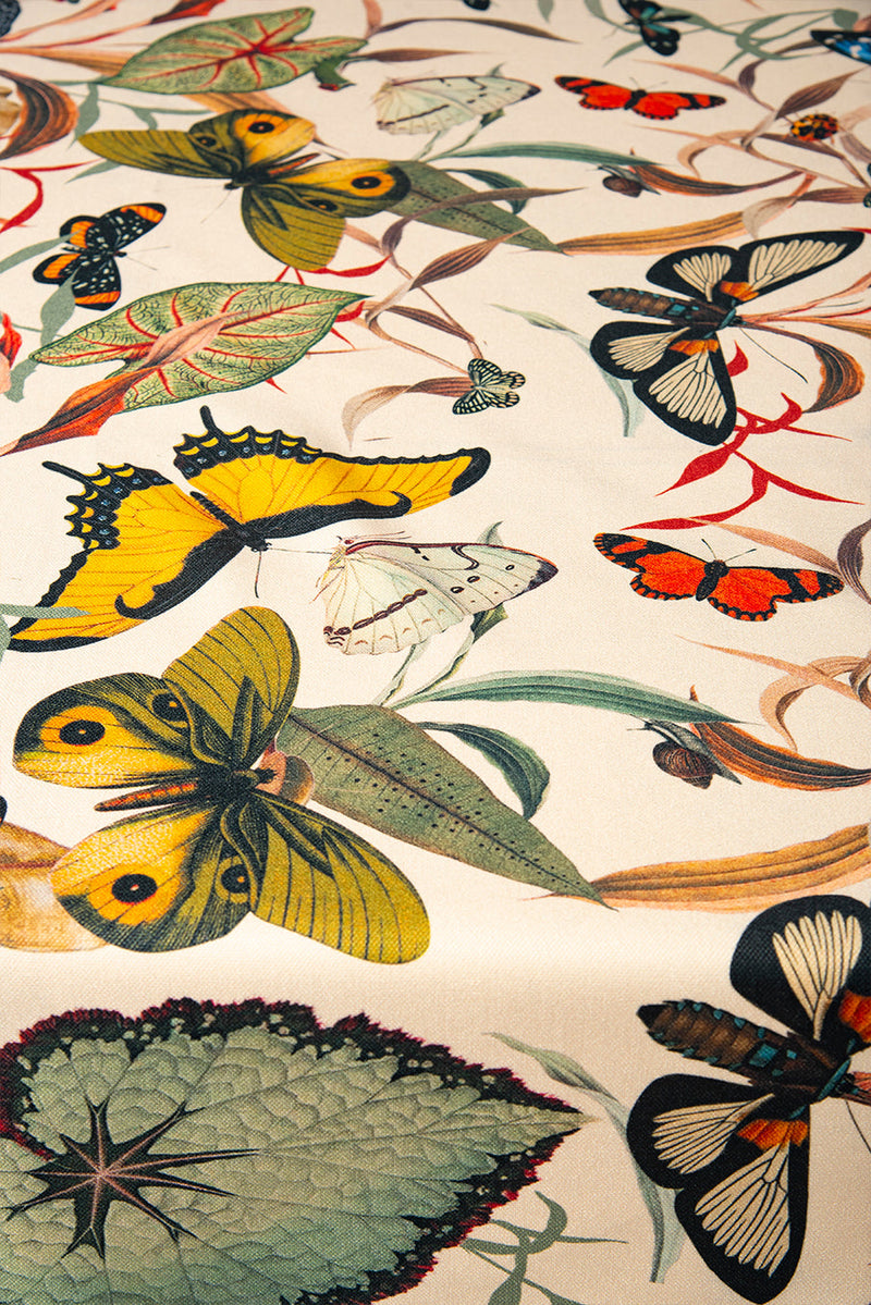 Mantel Black Butterfly