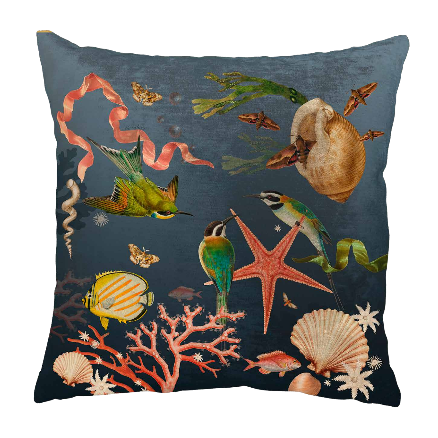 Cojin Coralina Velvet