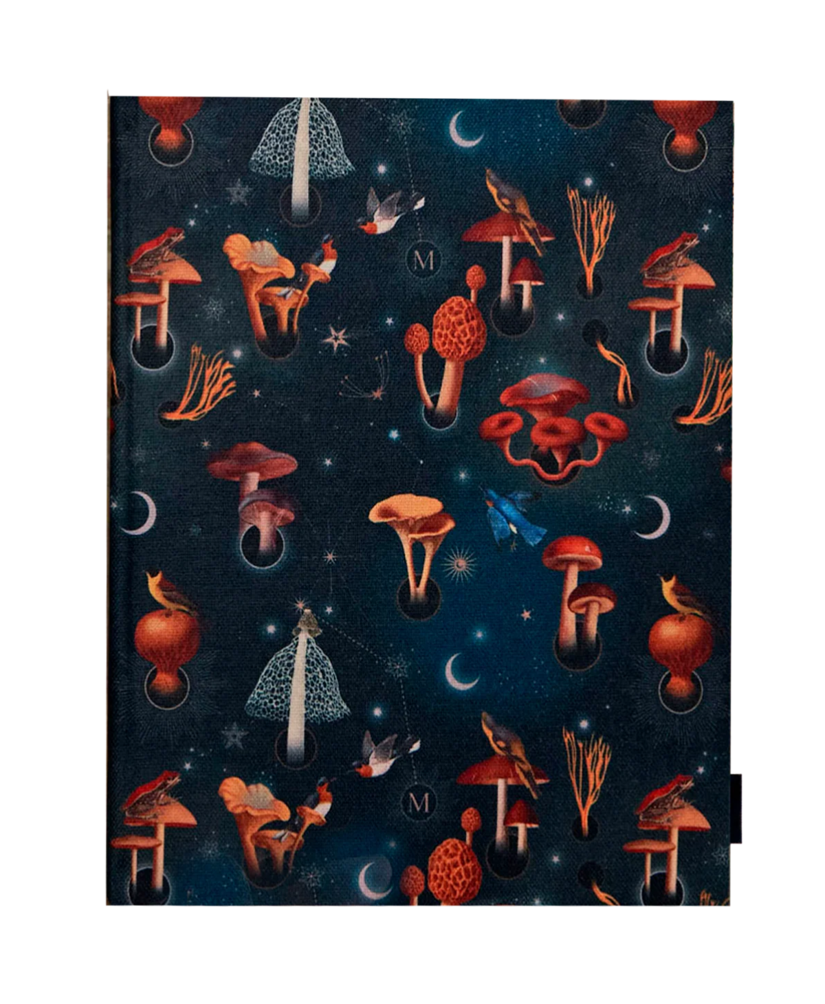 Libreta Fungi