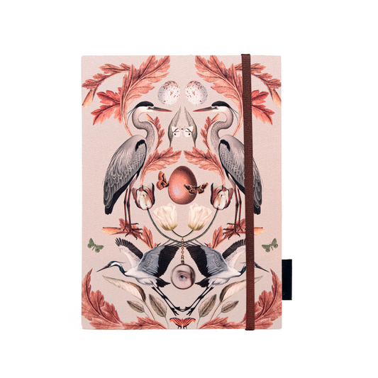 Libreta Aurora