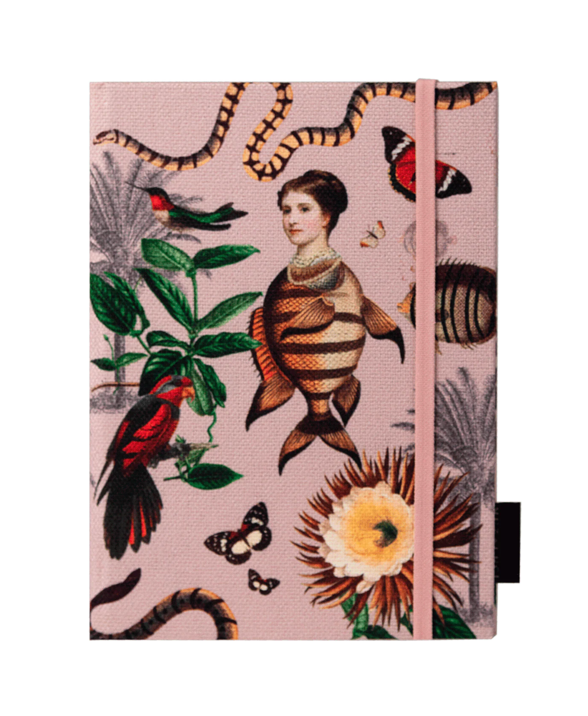 Libreta Santandercito