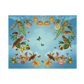 Individual Mar del Tropico