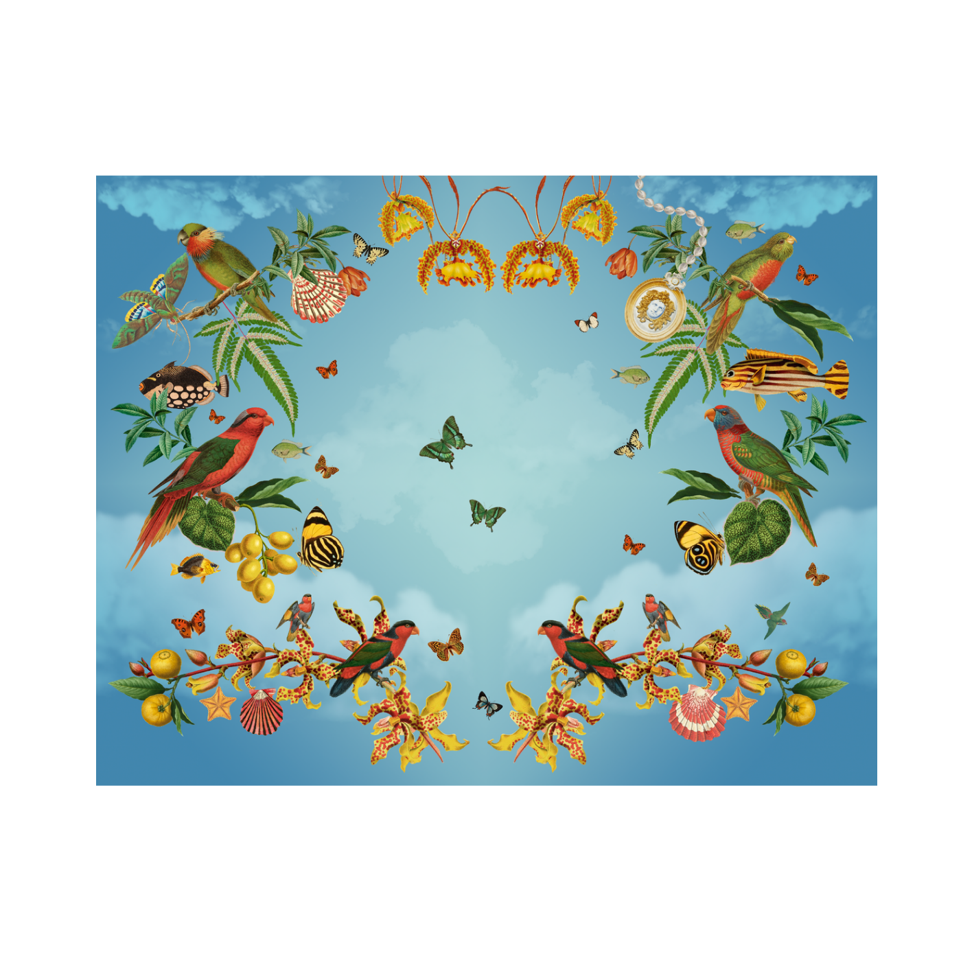 Individual Mar del Tropico