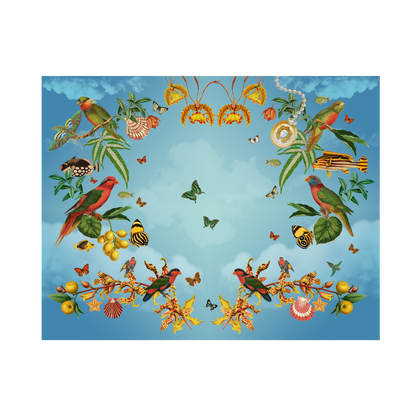 Individual Mar del Tropico