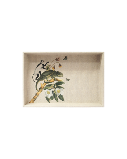 Charola Rayitas Carne Helechos II