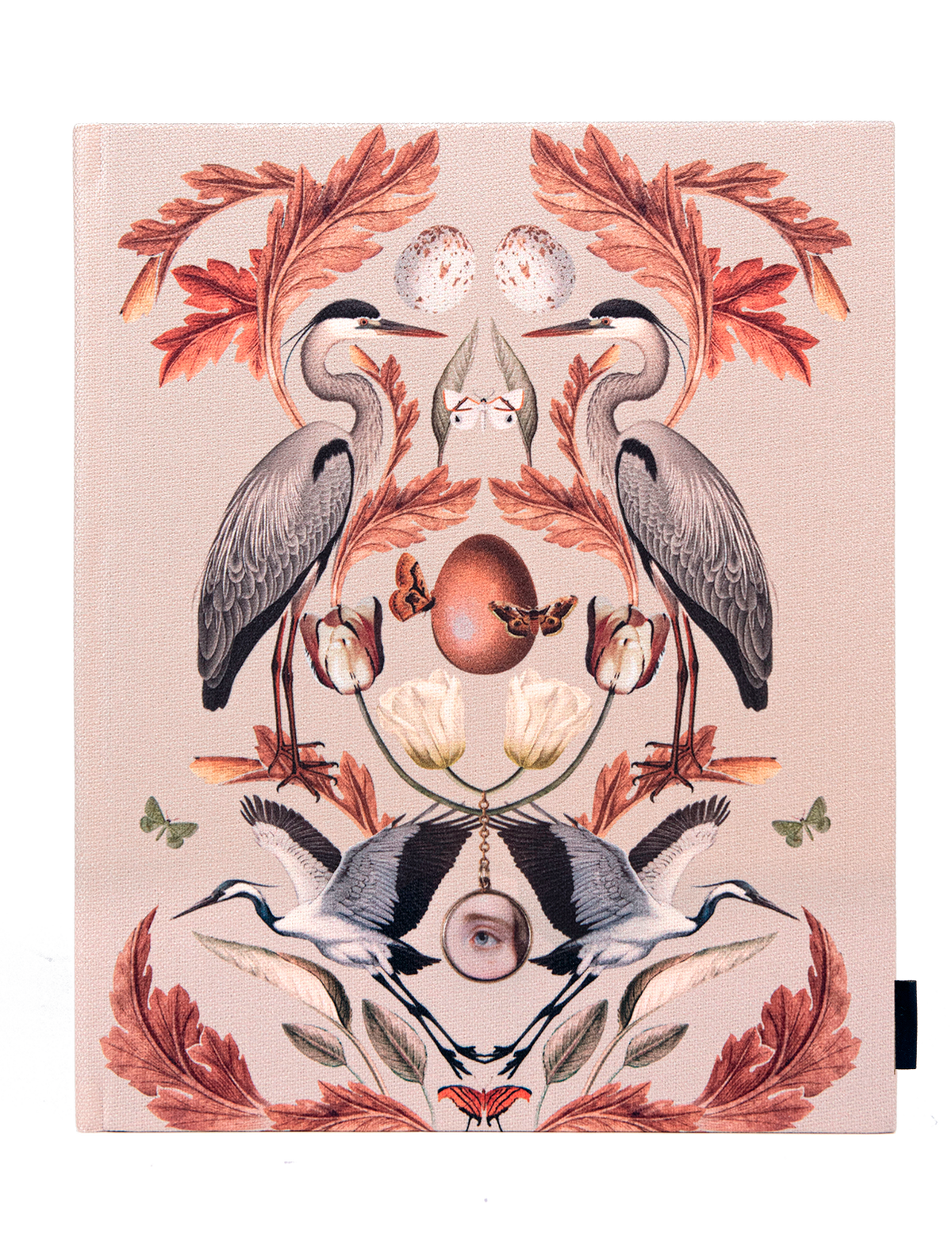Libreta Aurora