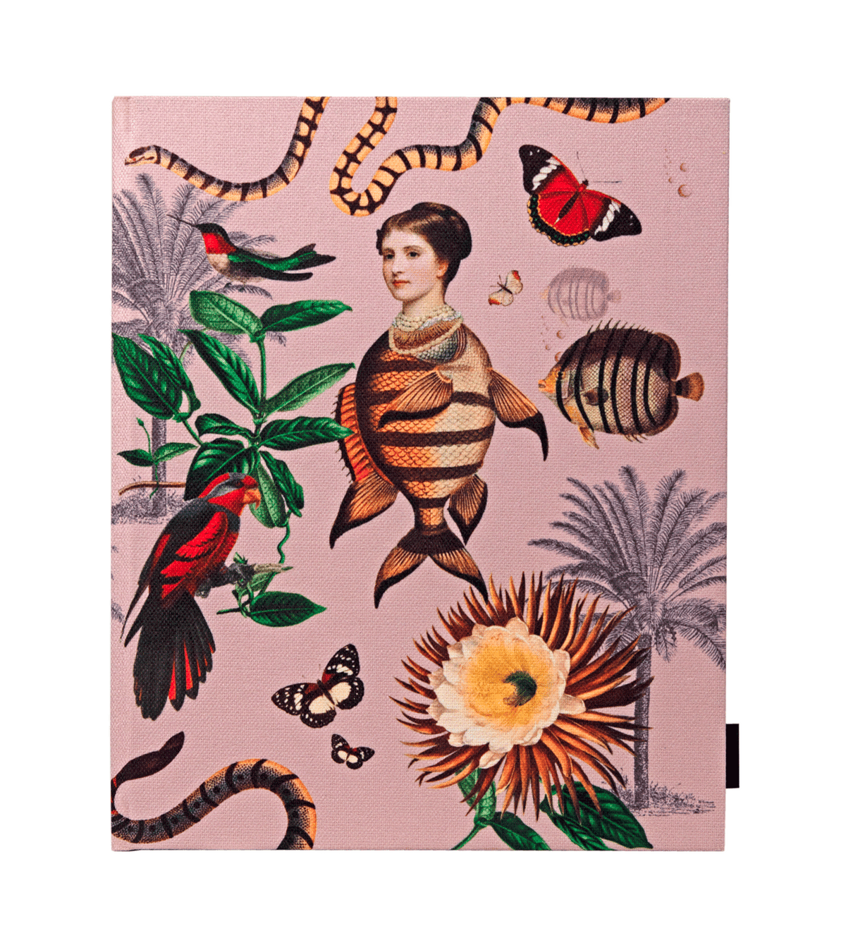 Libreta Santandercito