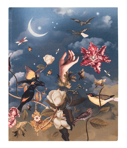 Libreta Eden