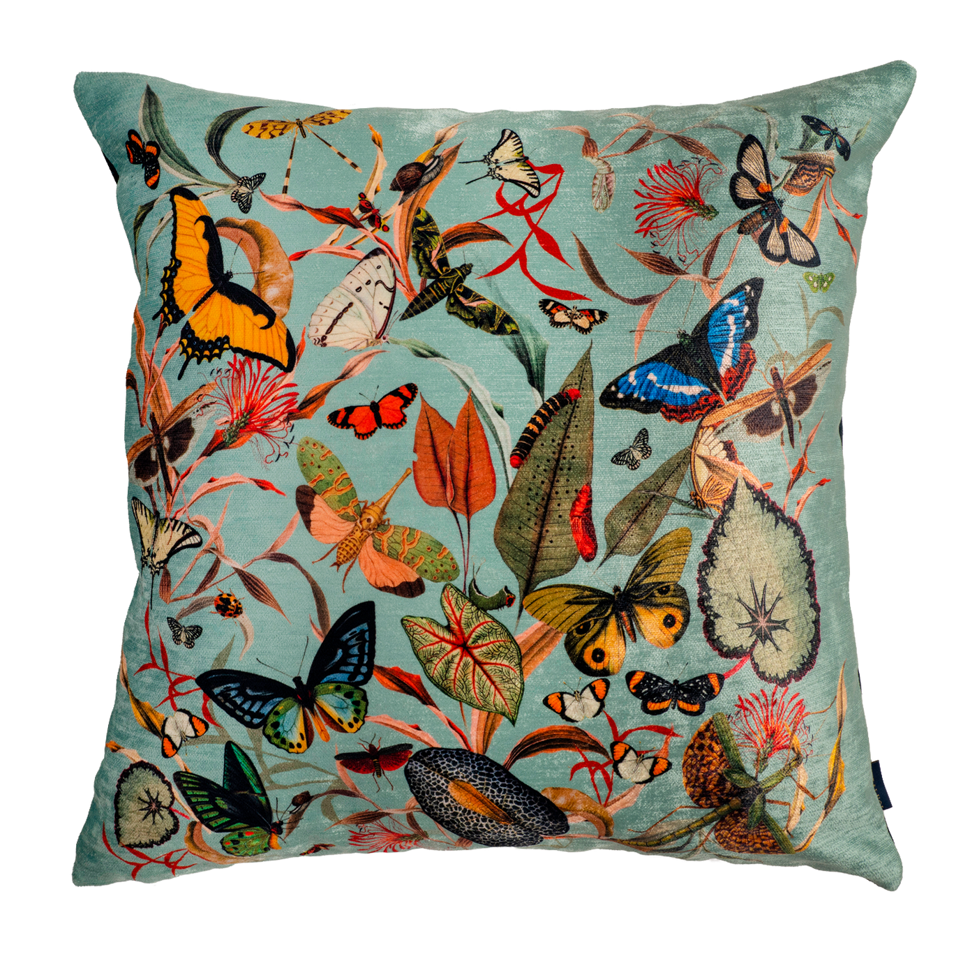 Cojin Aqua Butterfly Velvet