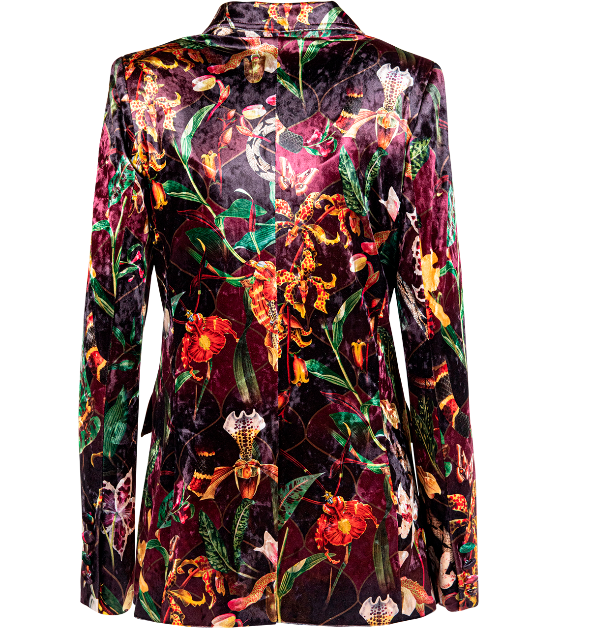 Blazer Velvet Orquideas Tigre