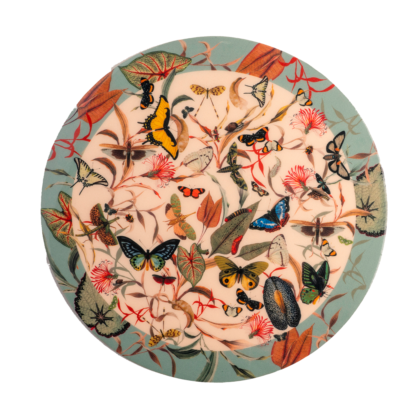 Lazy Susan Aqua Butterfly