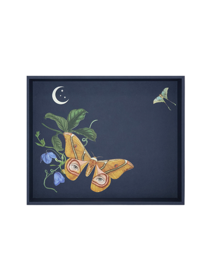 Charola Forro Azul Noche Actia Lunar