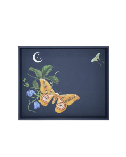 Charola Forro Azul Noche Actia Lunar