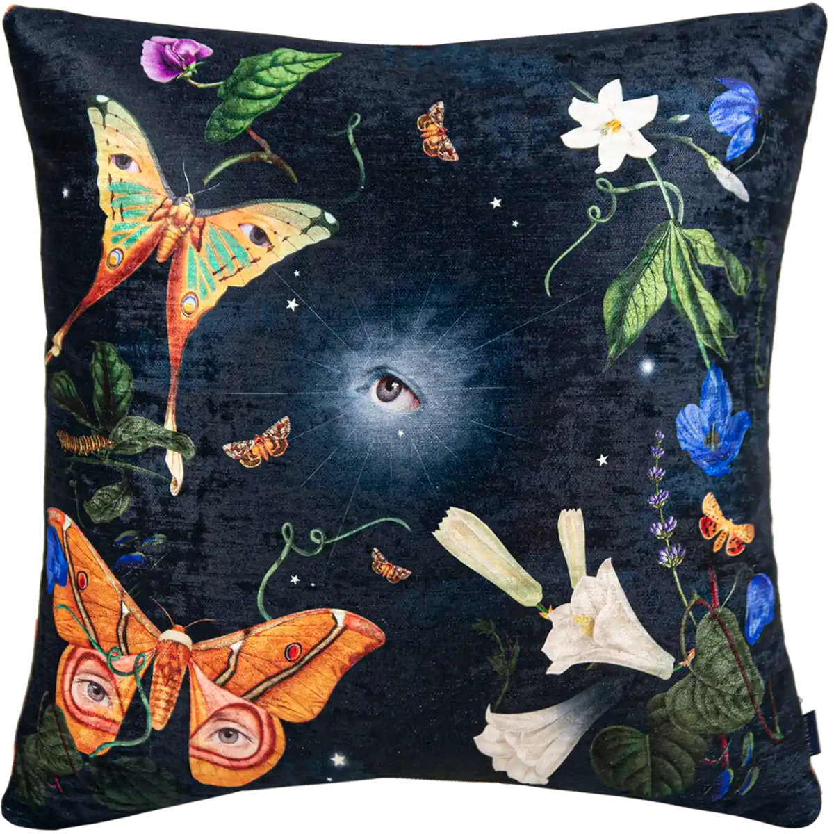 Cojin Actia Lunar Eye Velvet