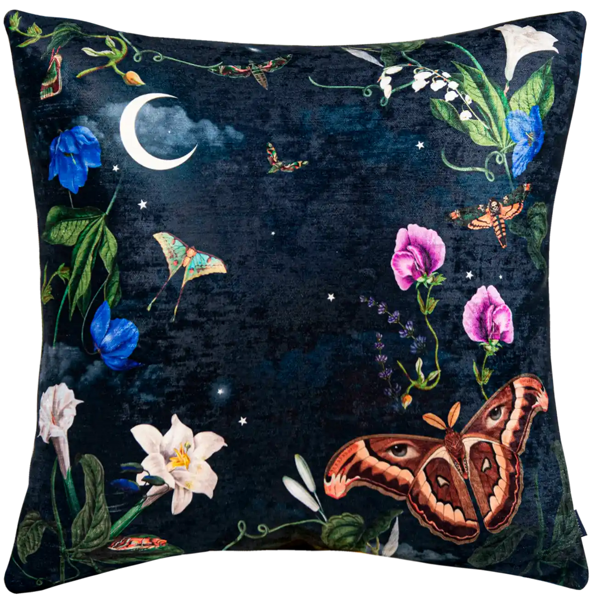 Cojin Actia Lunar Moon Velvet