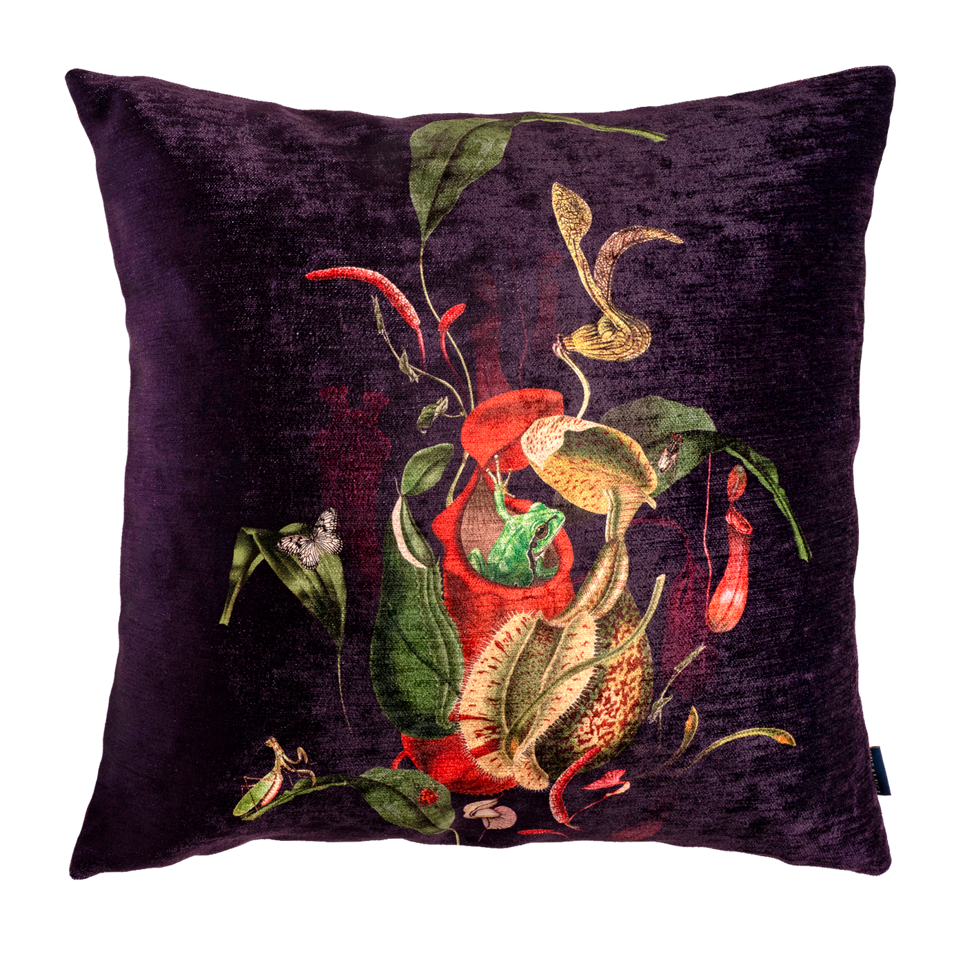 Cojin Carnivora Frog Velvet