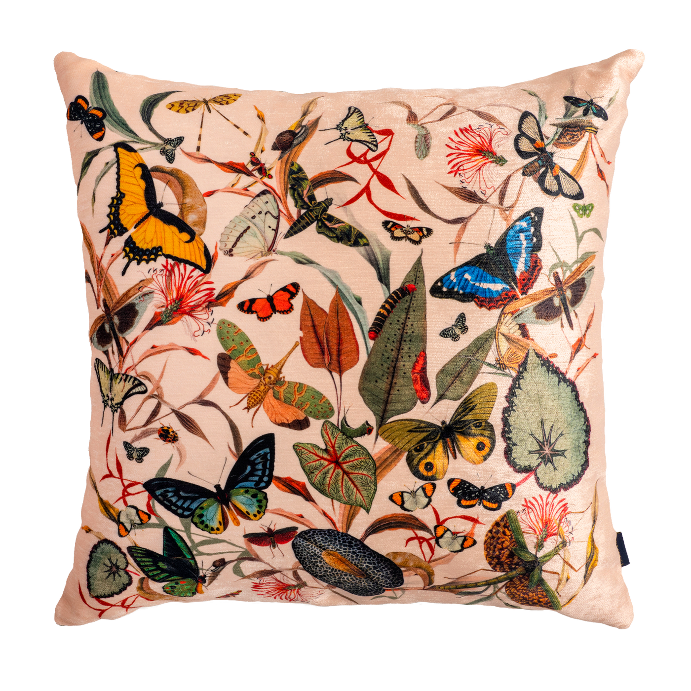 Cojin Ivory Butterfly Velvet
