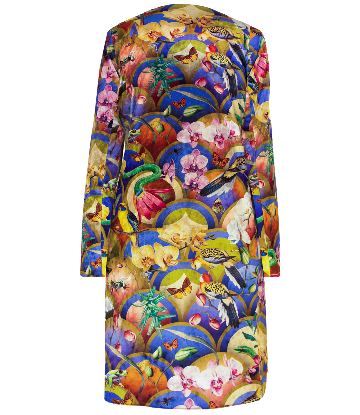 Kimono Rainbow