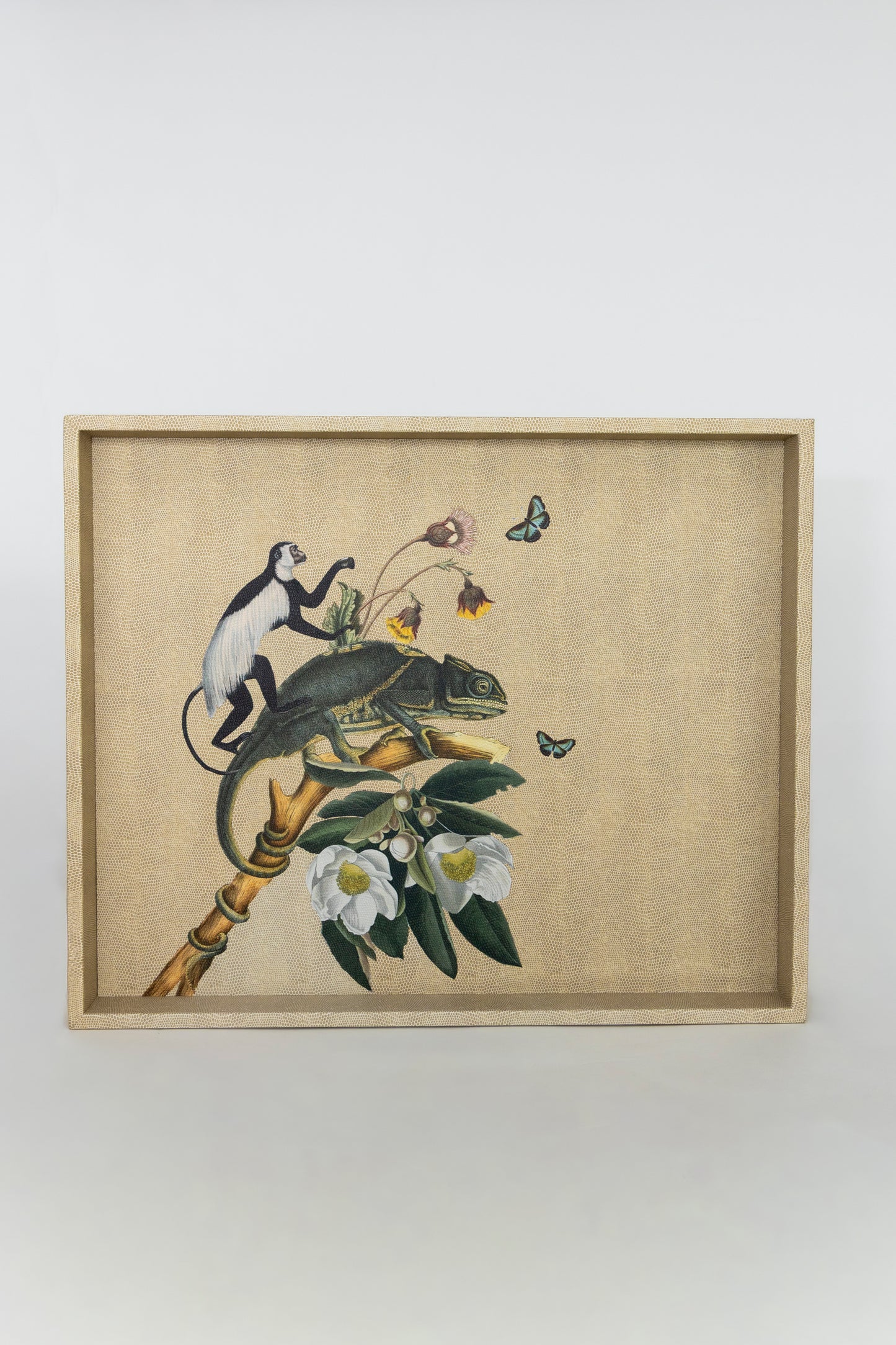 Charola Rayitas Carne Helechos II