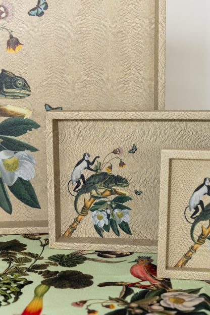 Charola Rayitas Carne Helechos II