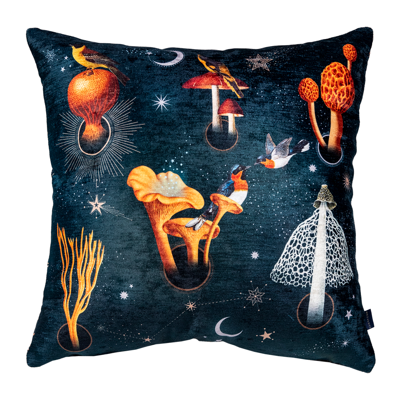 Cojin Fungi Velvet