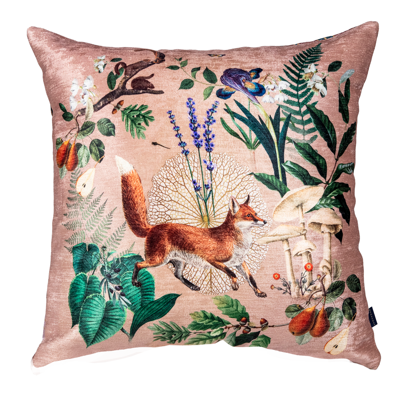 Cojin The Forest Sand Fox Velvet
