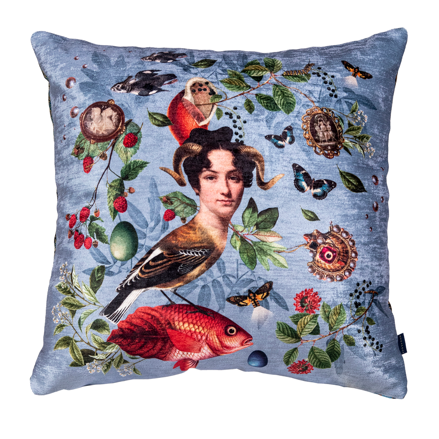 Cojin Quimera Fish Velvet