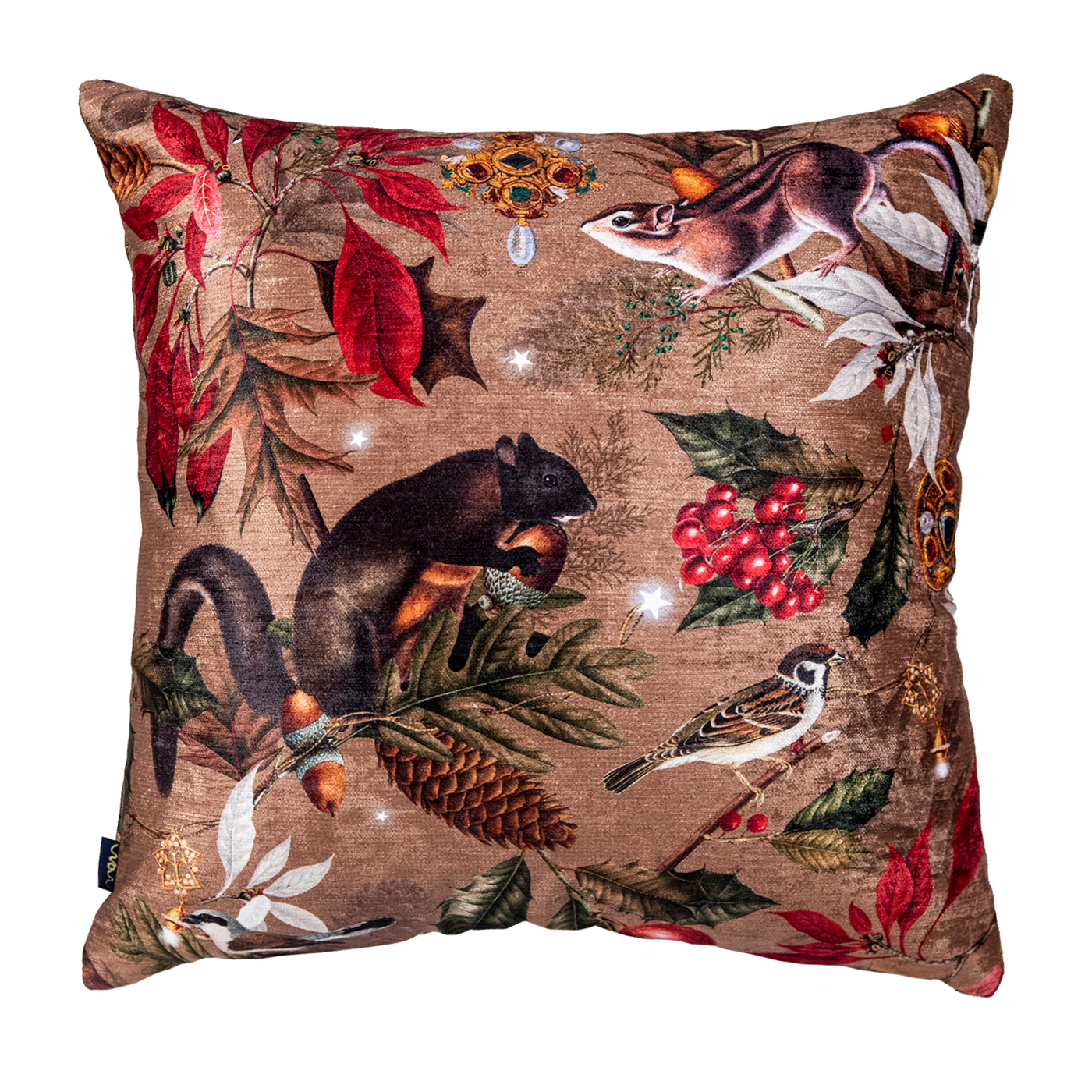 Cojin Squirrel Christmas Velvet