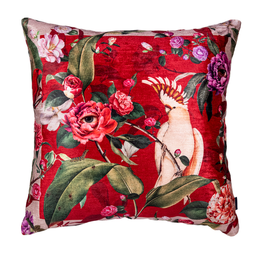 Cojin Macaw Christmas Velvet