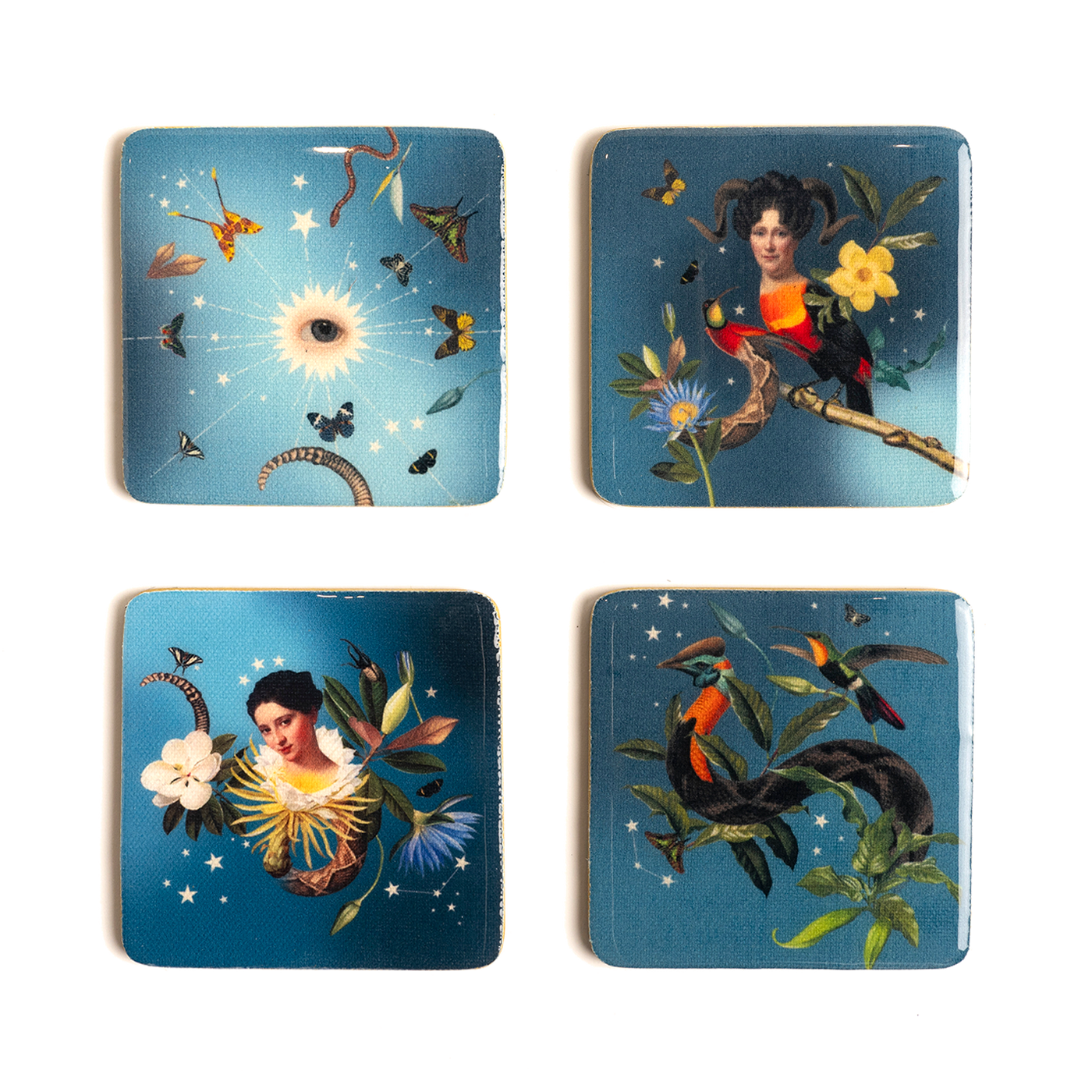 Portavasos Hongos
