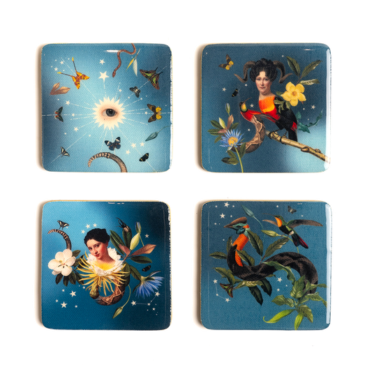 Portavasos Hongos