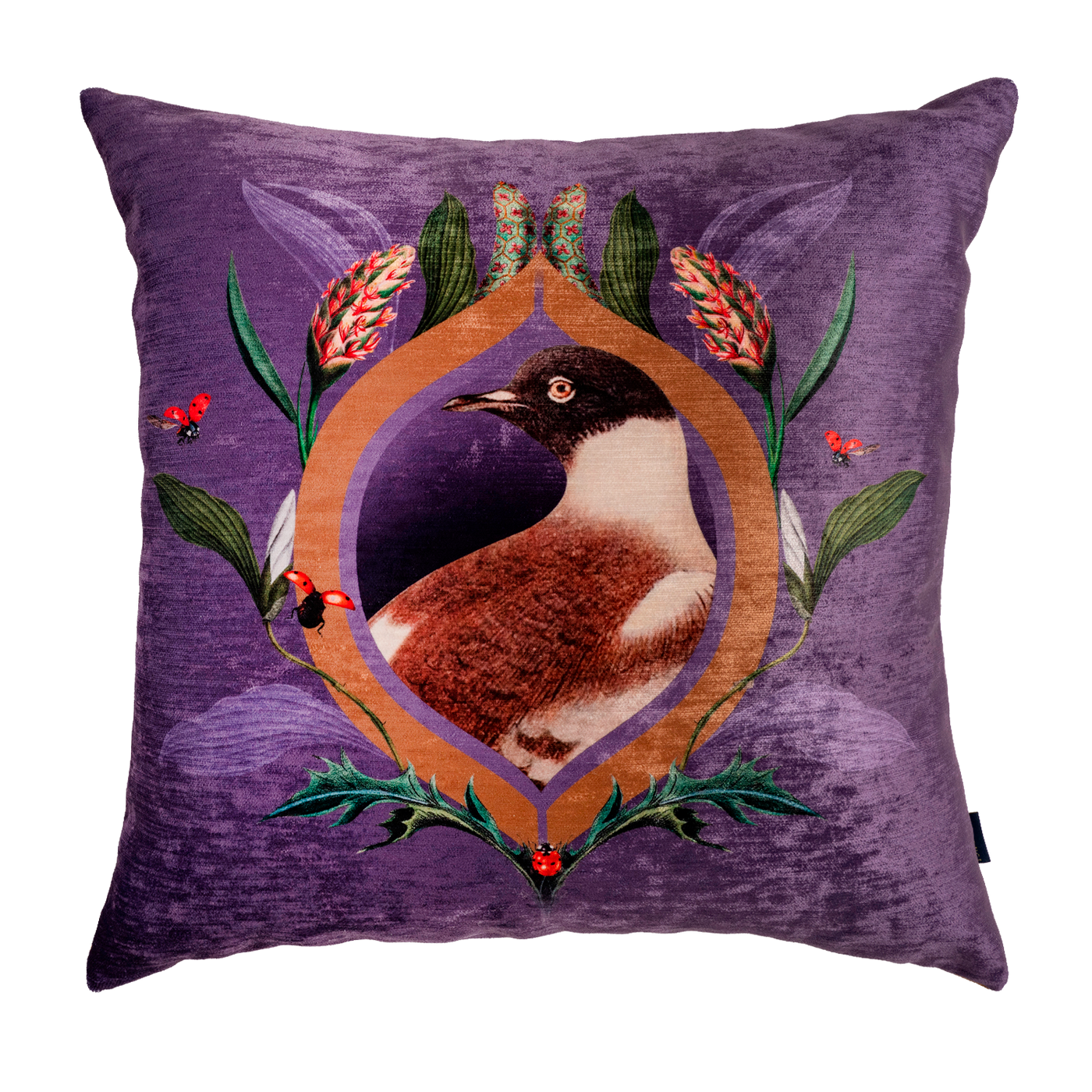 Cojin Retro Dove Velvet