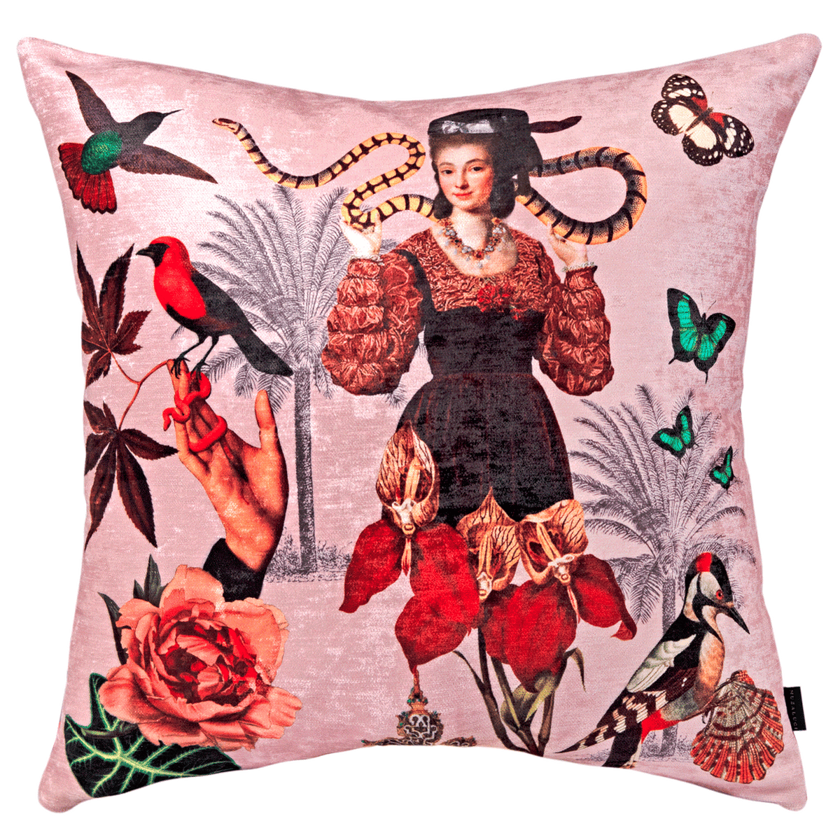 Cojin Santandercito Woman Serpent Velvet