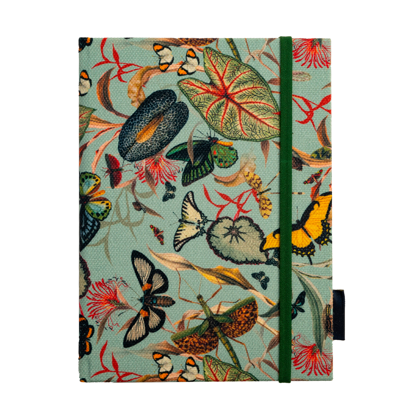 Libreta Aqua Butterfly