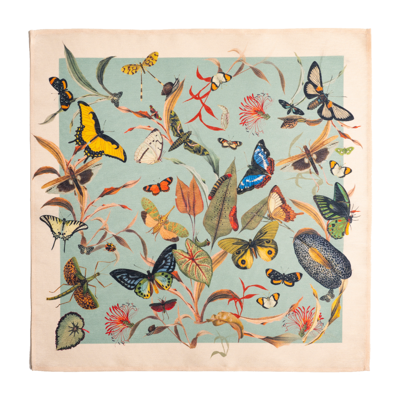 Servilleta Aqua Butterfly