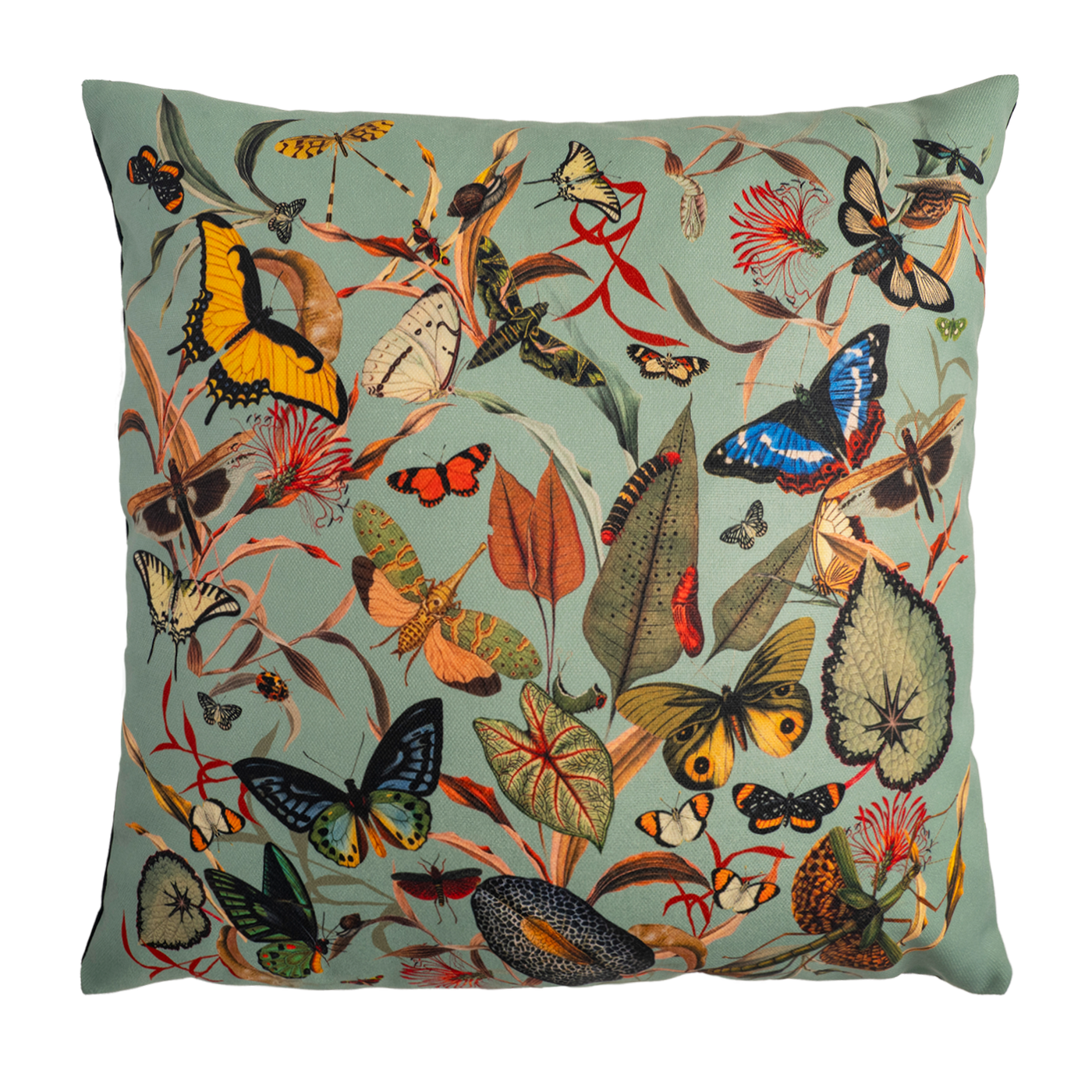 Cojin Aqua Butterfly