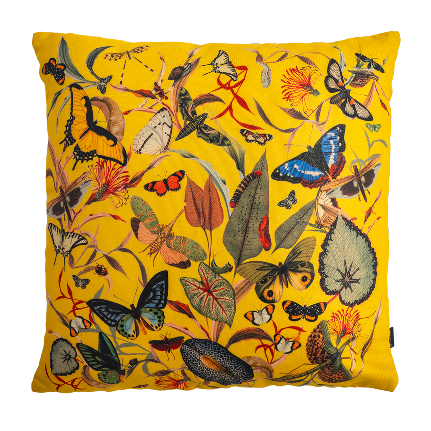 Cojin Yellow Butterfly