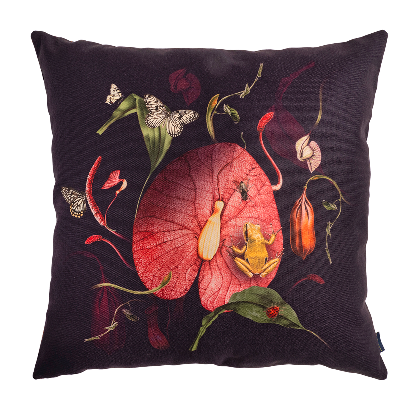 Cojin Carnivora Frog