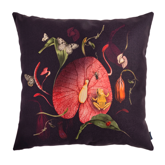 Cojin Carnivora Frog