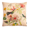Cojin Hummingbird Pink