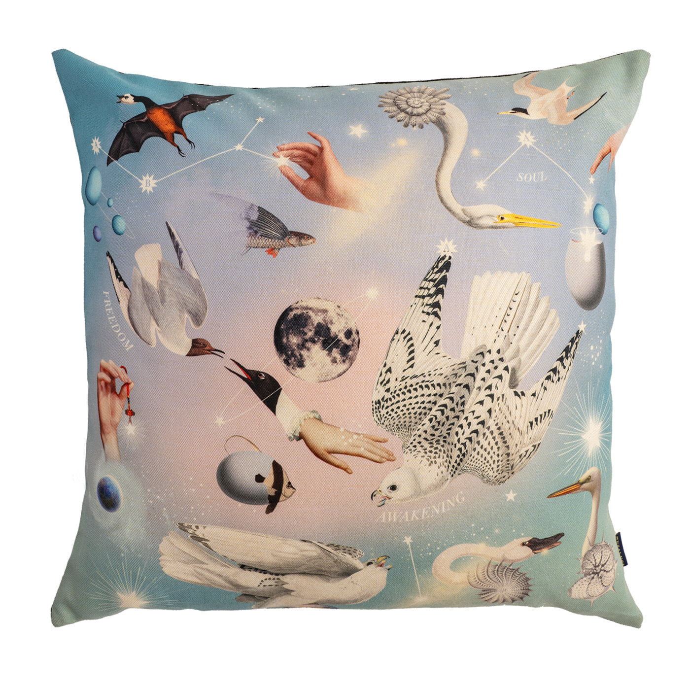 Cojin Magic Animals